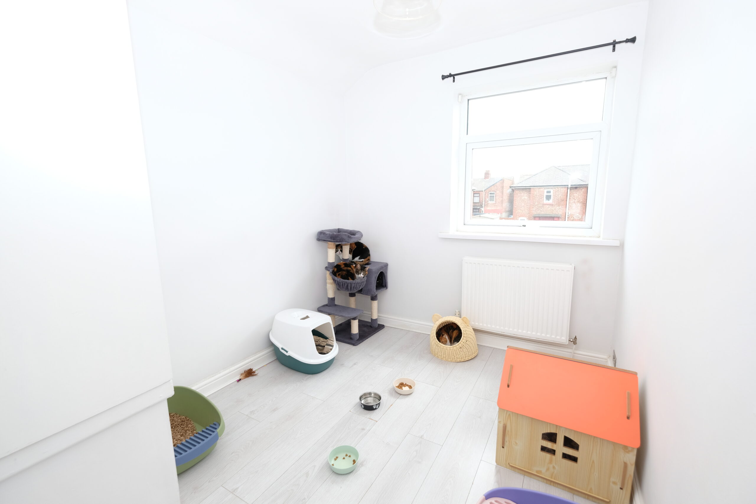 DSCF6445.JPG