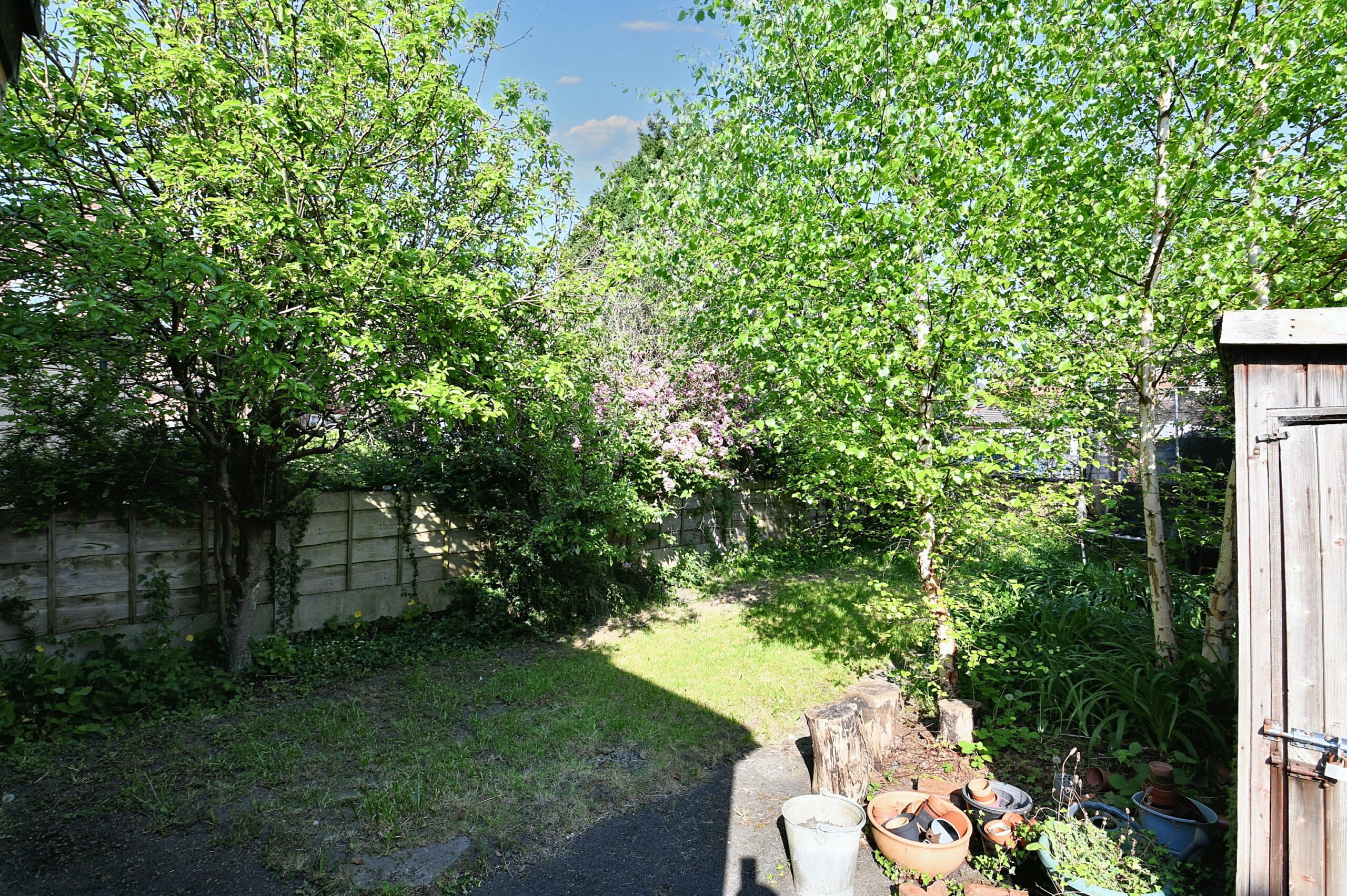 5b117cc2-ec30-4f5d-a6e7-f53e0acacd40.JPG