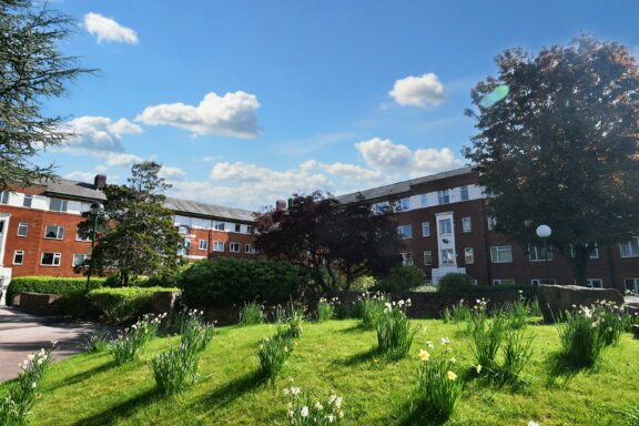 Property Image 16