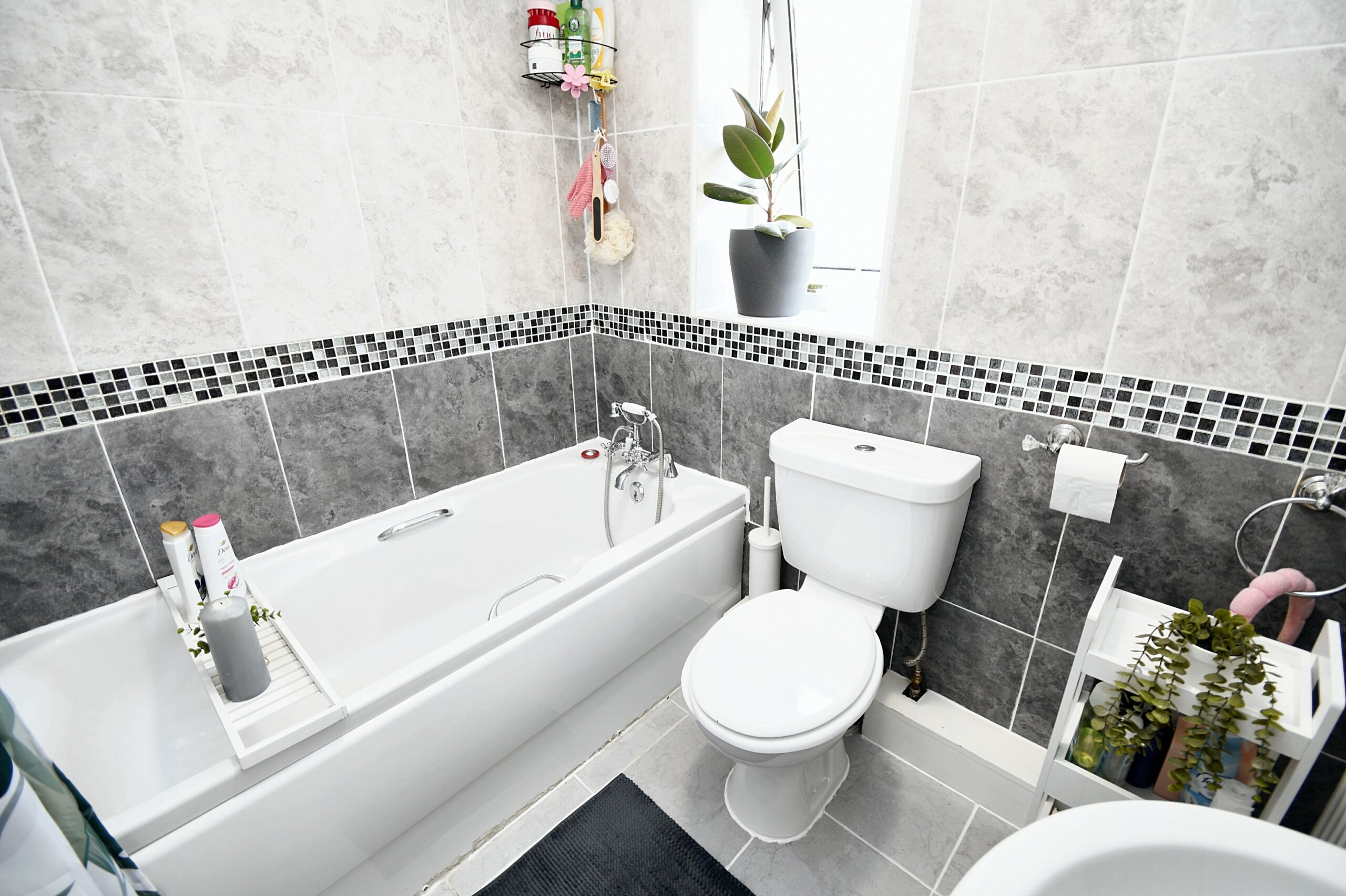 dd595f20-28ee-4456-a067-d0c98af57b61.JPG