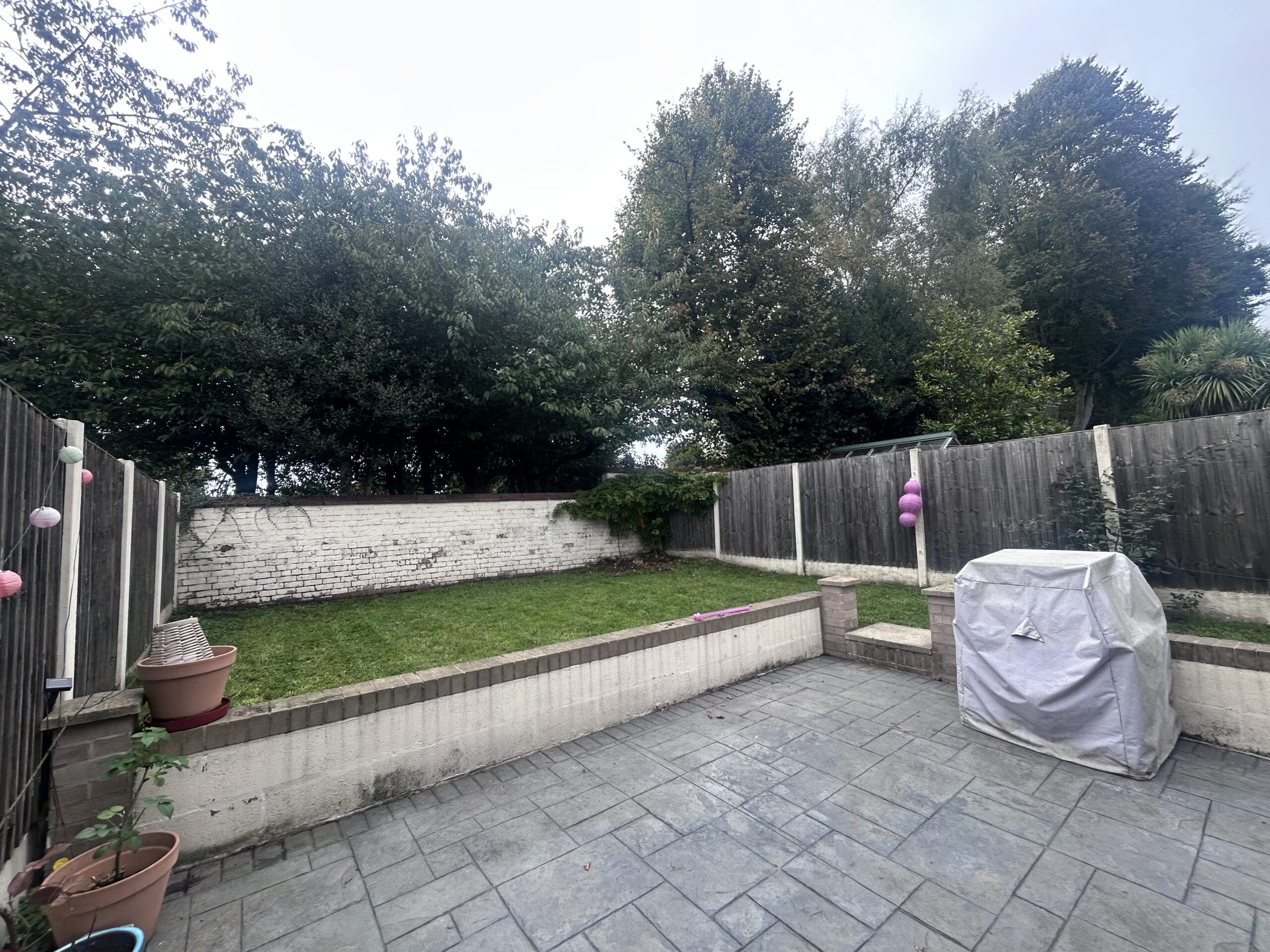 IMG_1662.jpeg