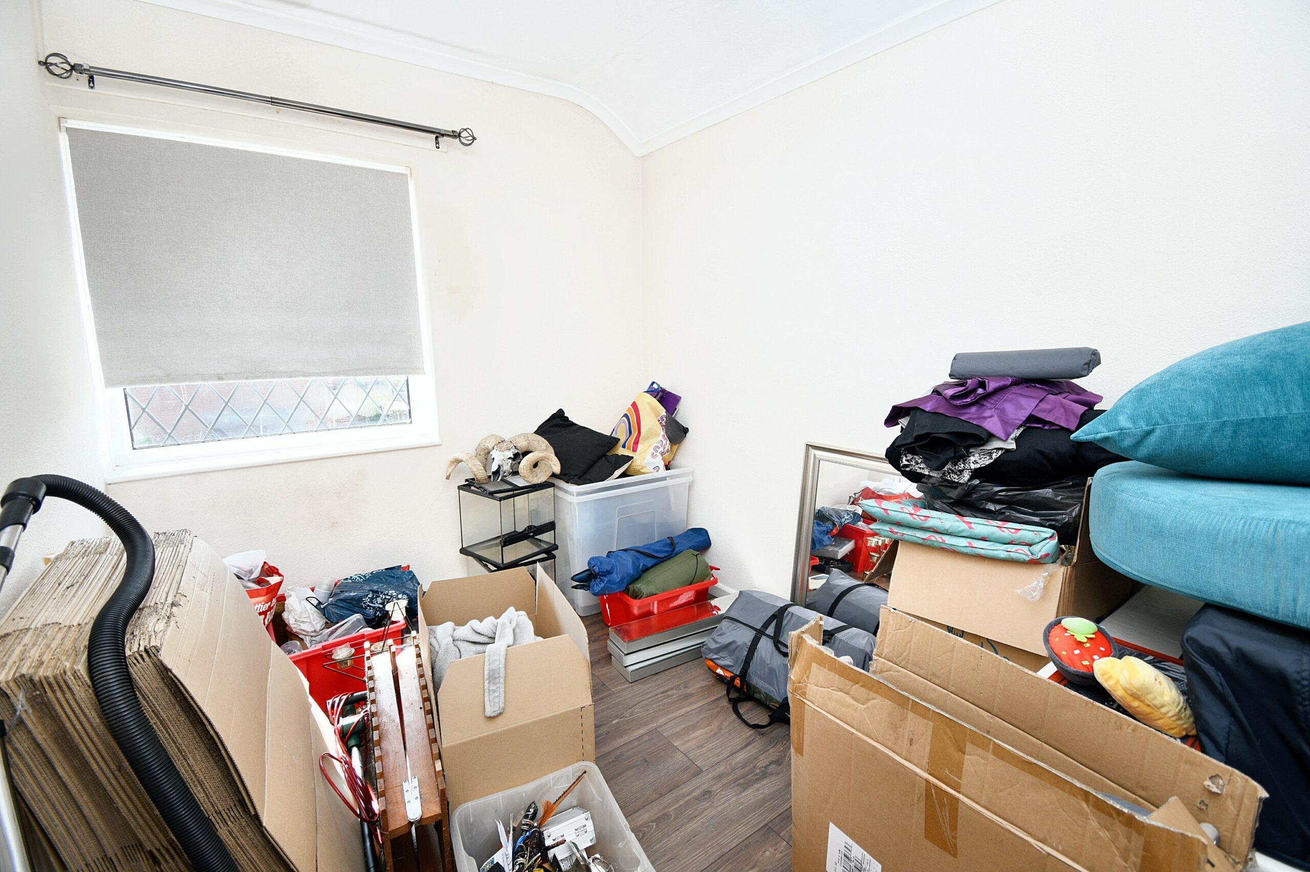 dc158a93-bad4-4d3c-8518-6e9a778a8901.JPG