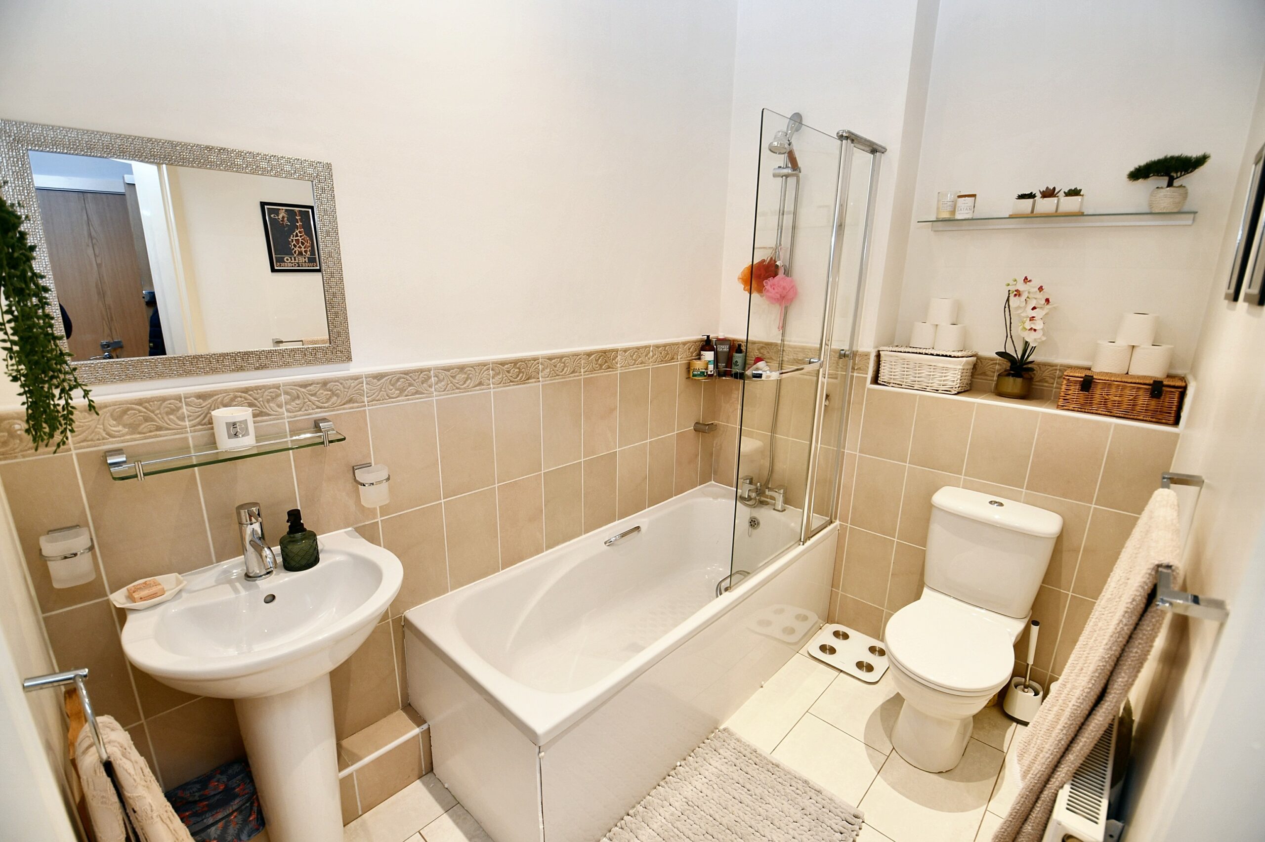 f5bd1488-23fa-405f-aa12-27d33ca51475.JPG